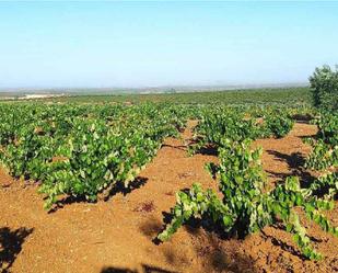 Land for sale in Santa Marta