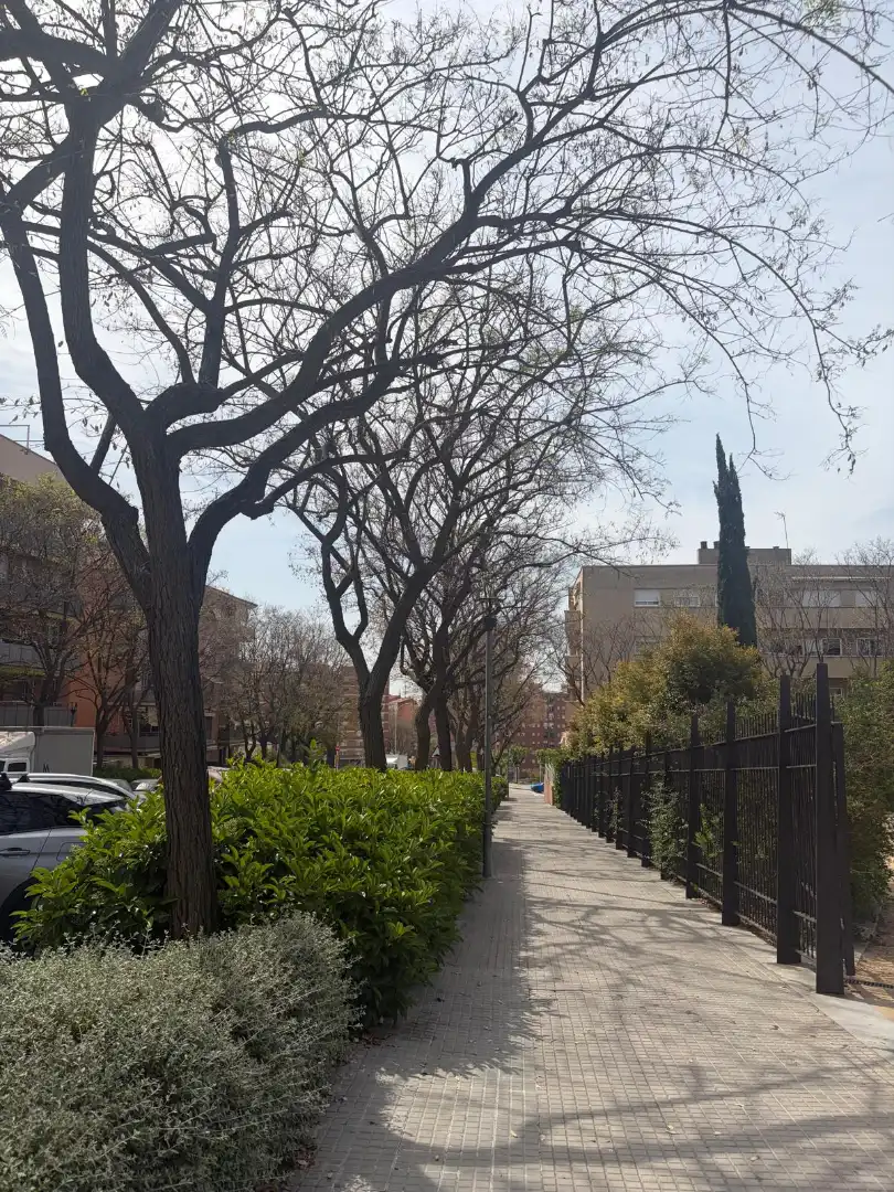Exterior view of Duplexes for sale in Sant Feliu de Llobregat  with Heating, Terrace and Storage room
