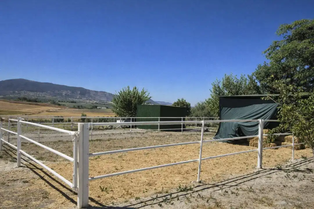 Terreno rustico in vendita a Nervión, imagen 14