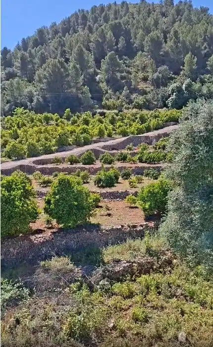 Appartamento con terrazza in vendita a Camí de Forna, imagen 27