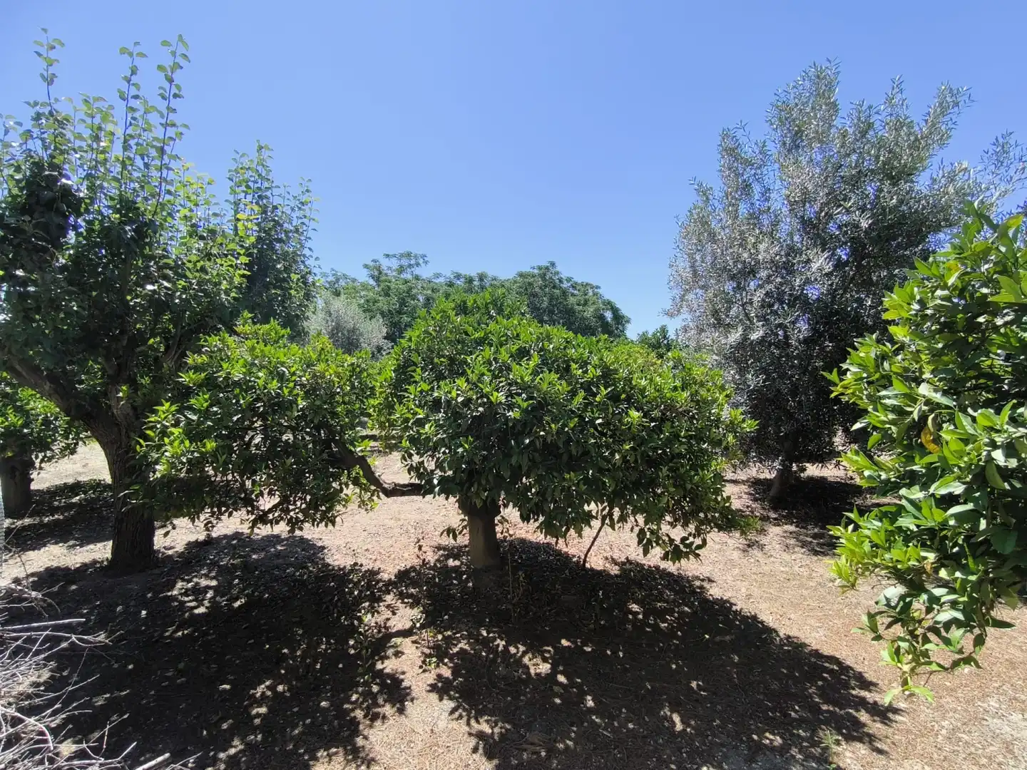 Garden of Houses for sale in Murcia  with Air Conditioner, Heating and Terrace
