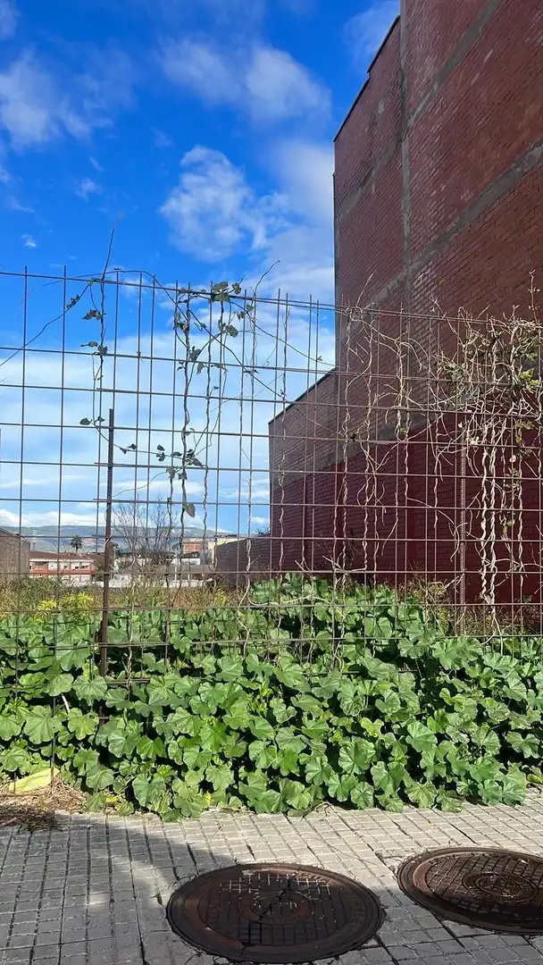 Jardín de Residencial en venta en El Morell