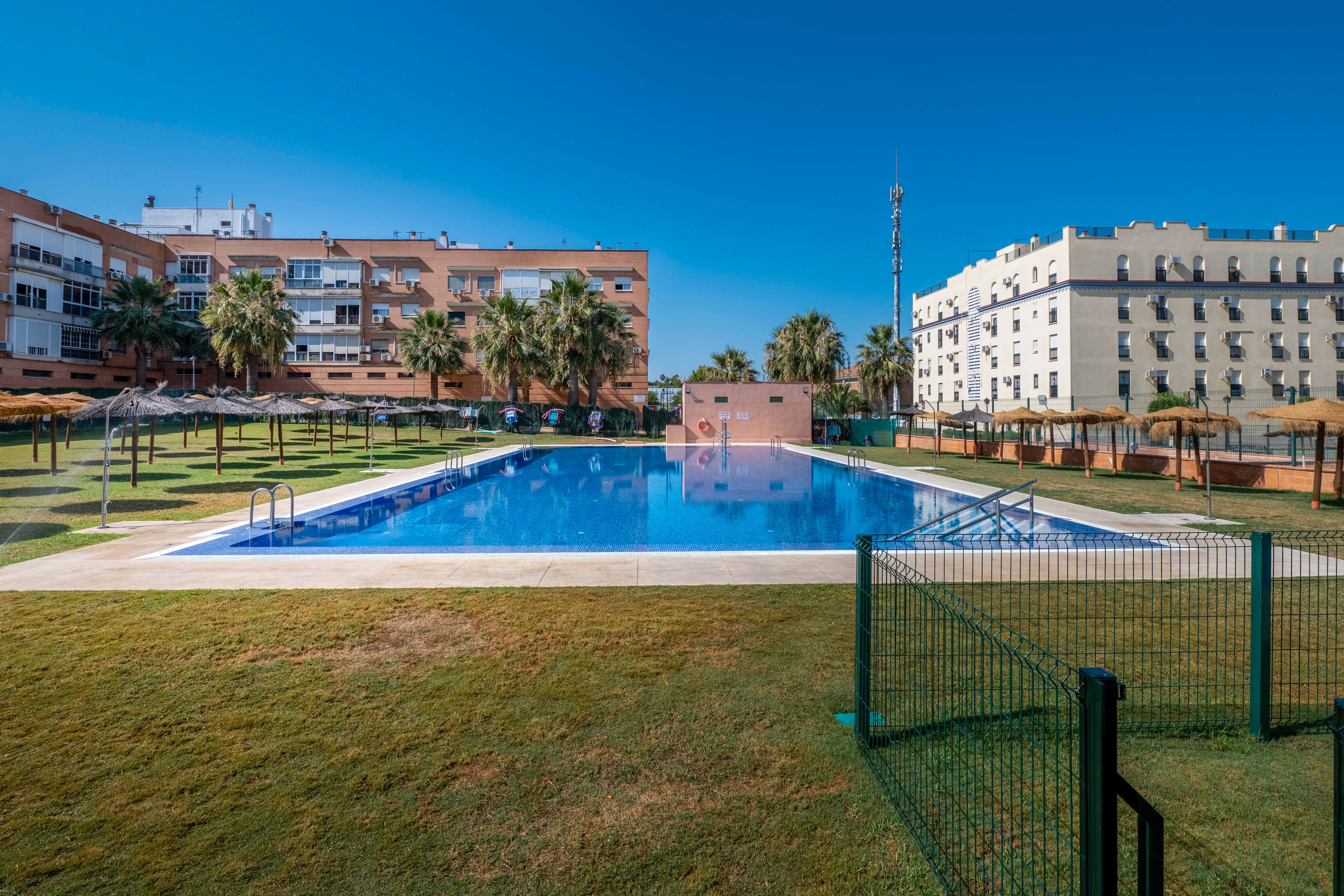 Swimming pool of Apartment for sale in Montequinto  with Community pool