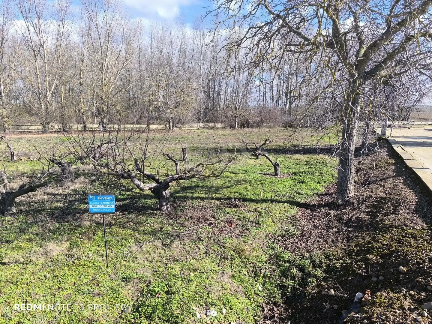 Residencial en venta en San Millán de los Caballeros