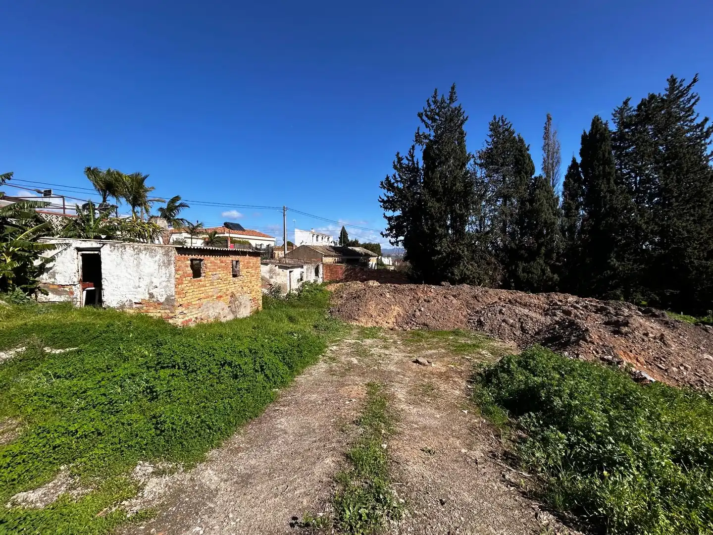 Rustikales Grundstück zum Verkauf in Calle Palomar, imagen 3