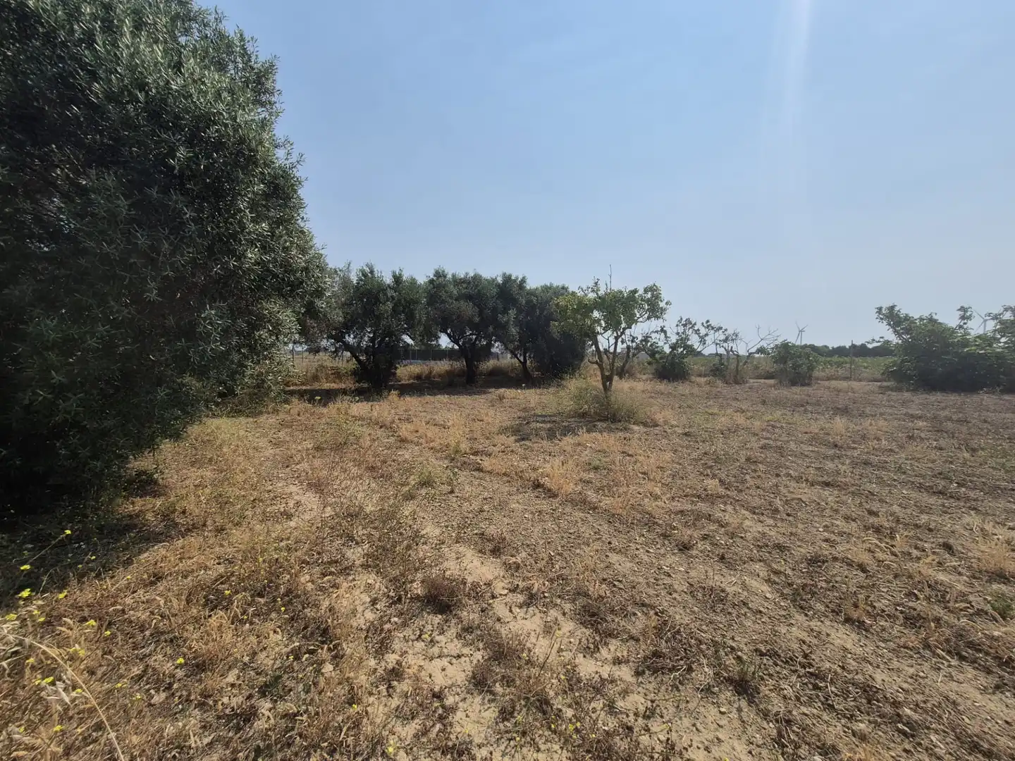 Houses for sale in Puerto Real  with Furnished