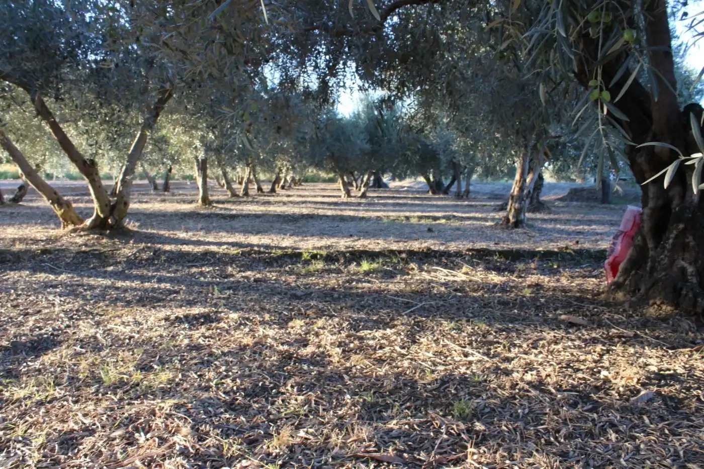 Country homes for sale in Villa de Otura, Granada