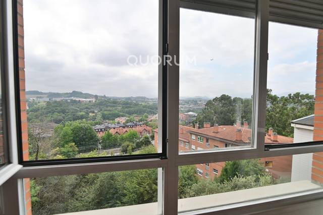 Piso en Venta en Calle Ormetxe en Alango