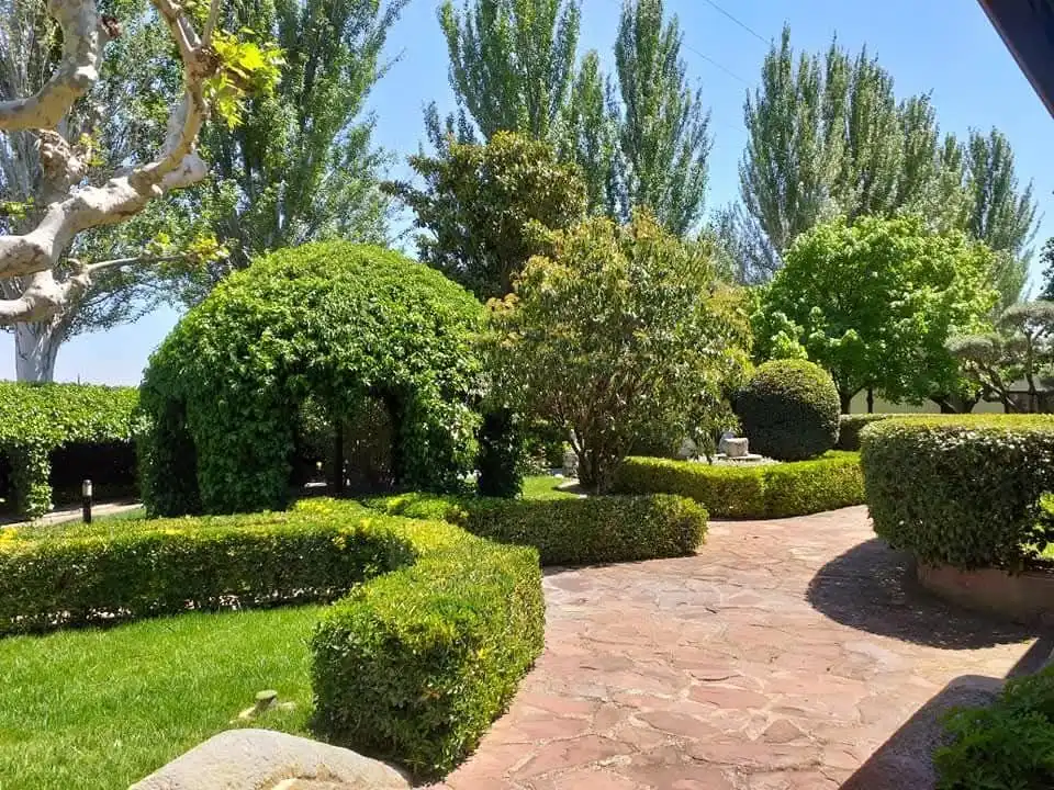 Garden of Land for sale in Tudela