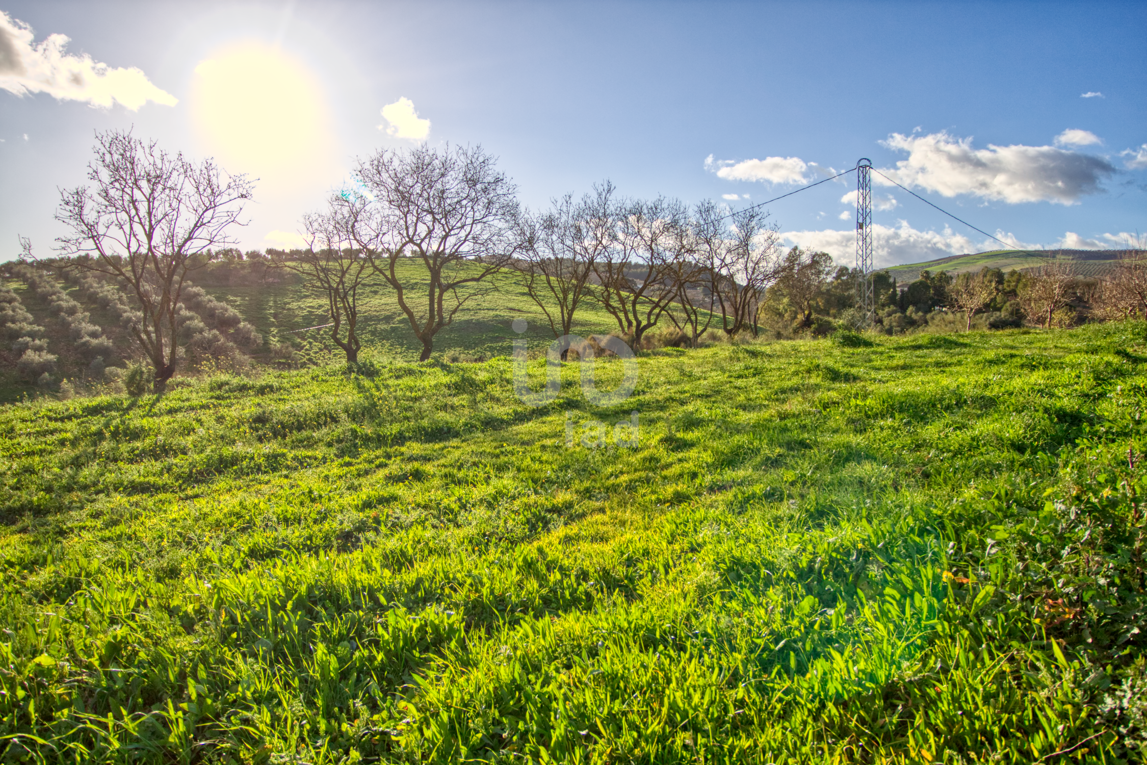 Residential for sale in Ardales