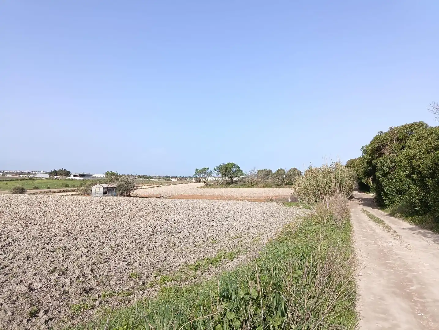 Rustikales Grundstück zum Verkauf in Los Franceses – La Vega, imagen 3