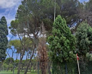 Jardí de Casa adosada en venda en Castellón de la Plana / Castelló de la Plana amb Aire condicionat, Jardí privat i Terrassa