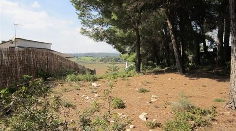 Foto 4 de Terreny en venda a Carrer L'arboç, Calafell Park, Calafell