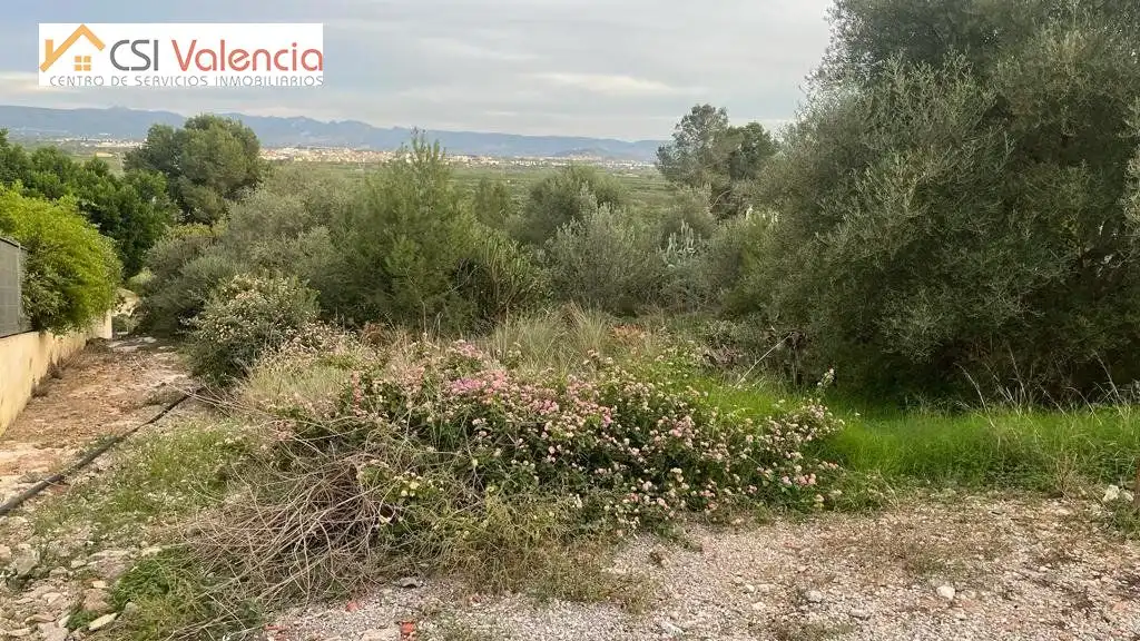 Terreno residencial en venta en Alberic, imagen 4