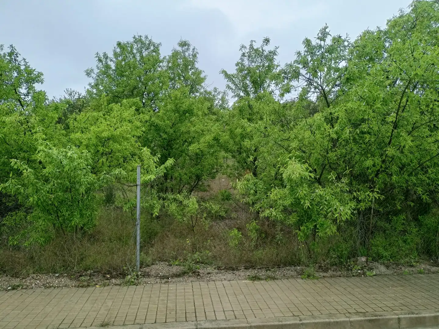 Terreno residencial en venta en Casinos, imagen 4