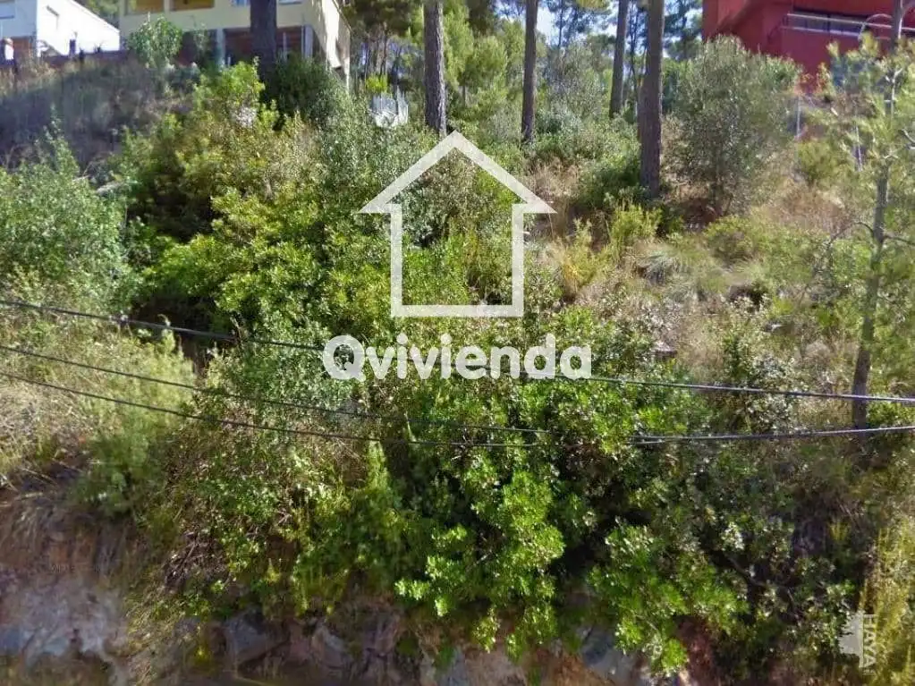 Terreny rústic en venda a Cim del, imagen 6