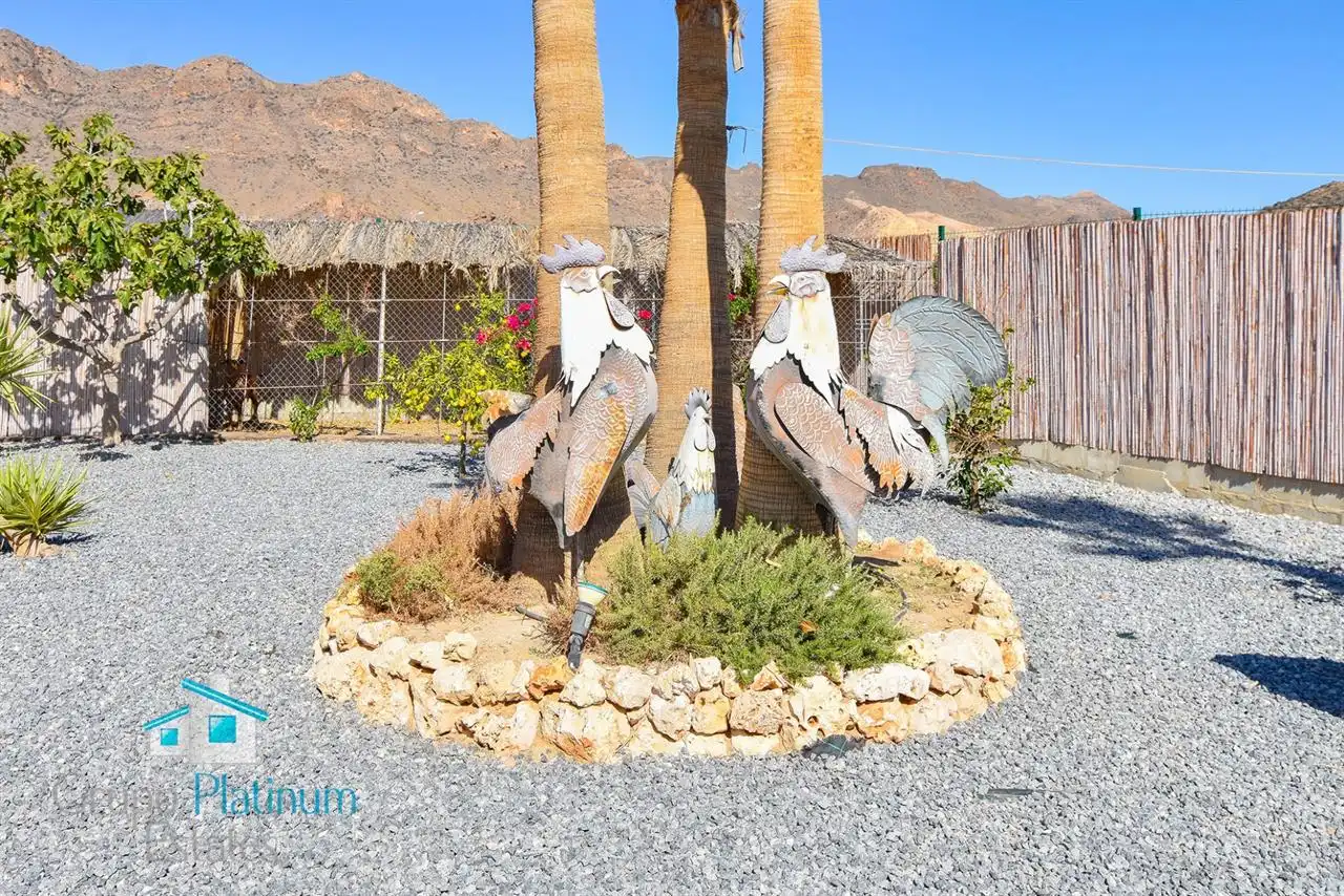 Detached house with garden for sale in San Juan de los Terreros, imagen 36