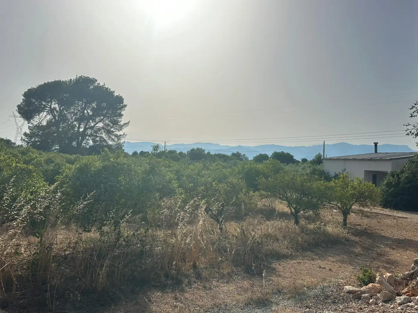 Rural land for sale in Masdenverge, imagen 10