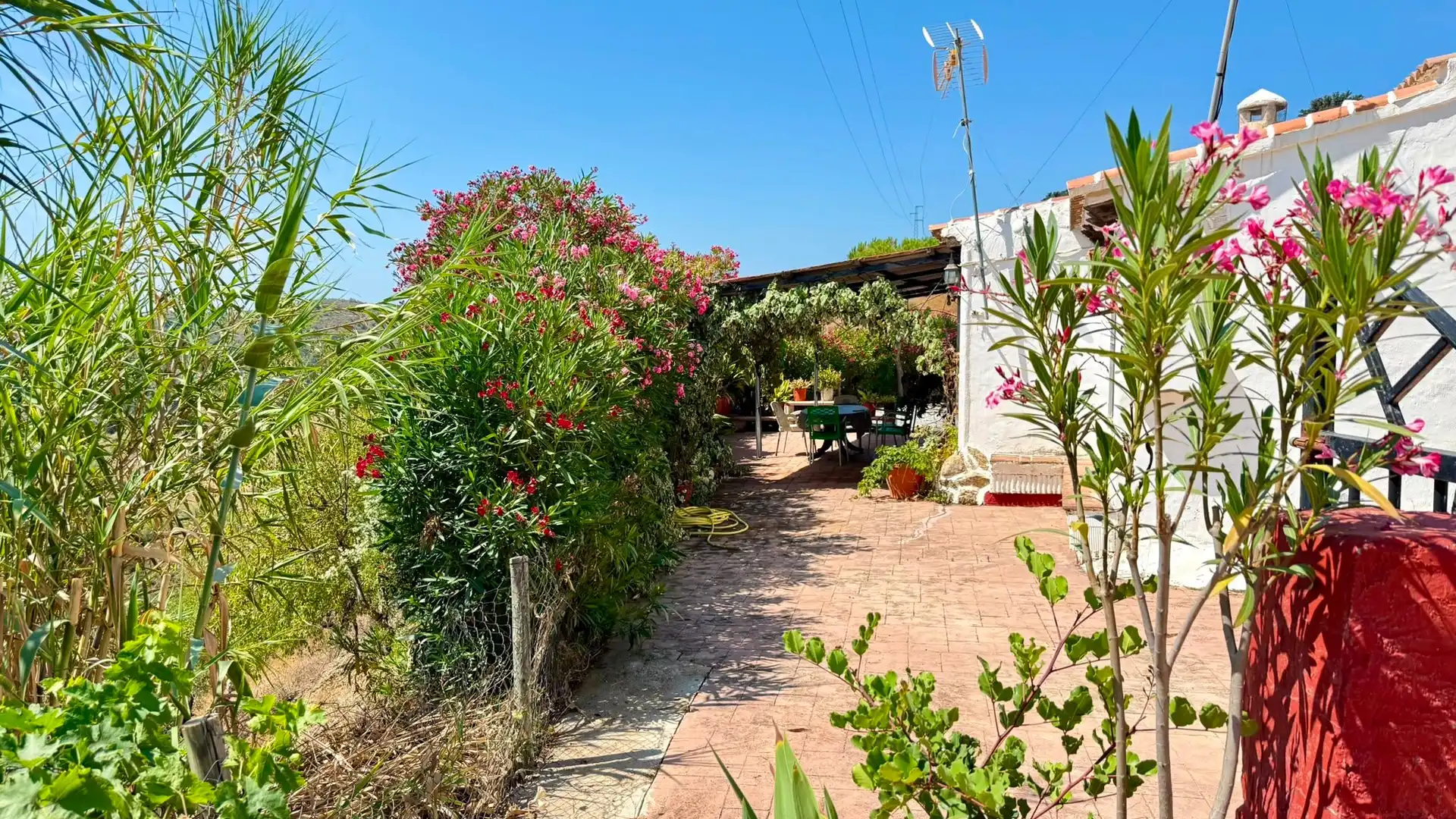Jardí de Casa o xalet en venda en Sedella amb Aire condicionat, Jardí privat i Terrassa