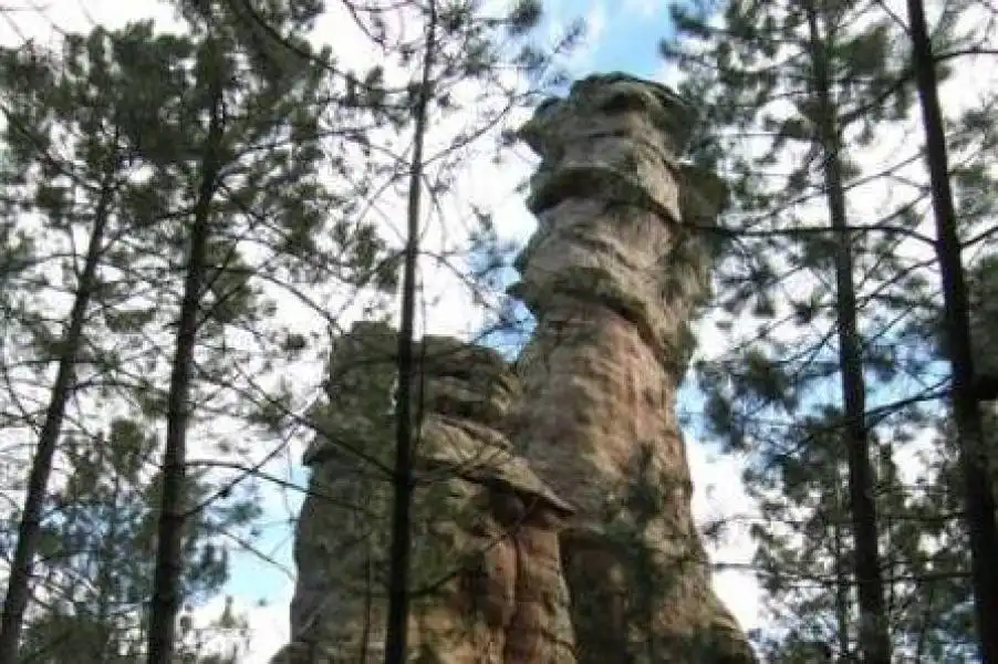 Garden of Land for sale in Cuenca