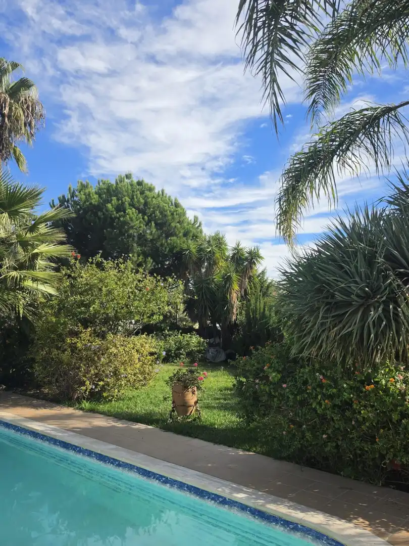 Jardín de Casa o chalet en venta en Casares