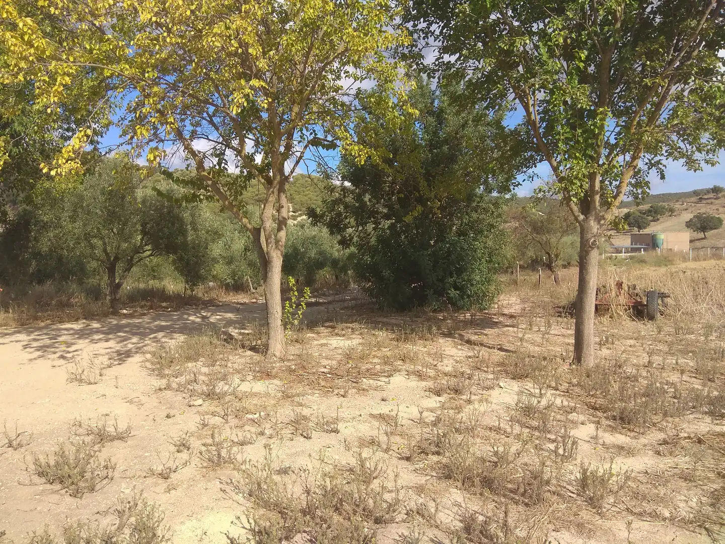 Terrenos y solares en venta en Gibraleón, imagen 4