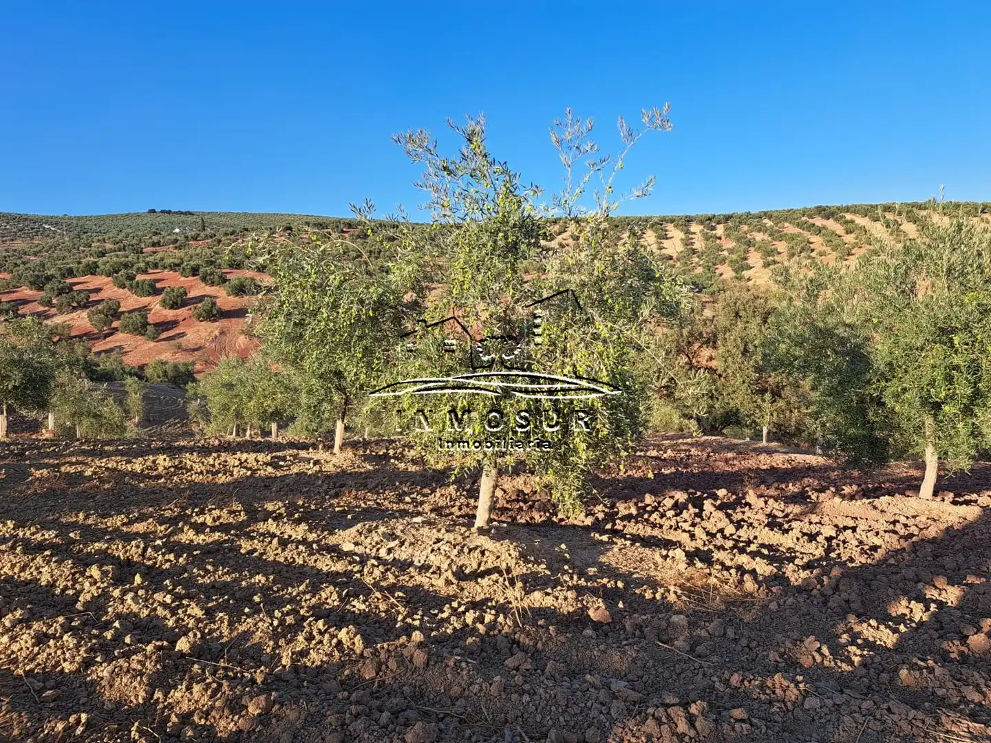 Terrain rustique à vendre à Las Vegas - Campoaras, imagen 7