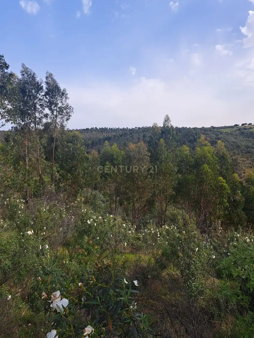 Terreno en venta en Herrera de Alcántara