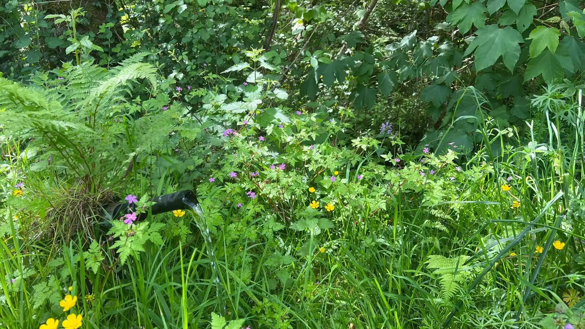 Jardí de Casa o xalet en venda en Cangas de Onís amb Jardí privat
