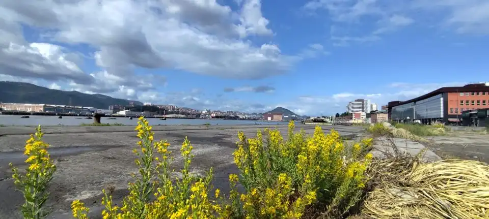 Vista exterior de Local en venda en Erandio