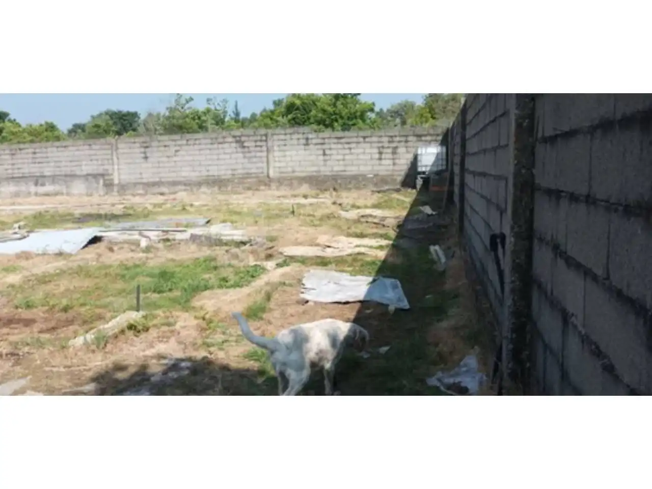 Residential land for sale in Ventiun, imagen 3