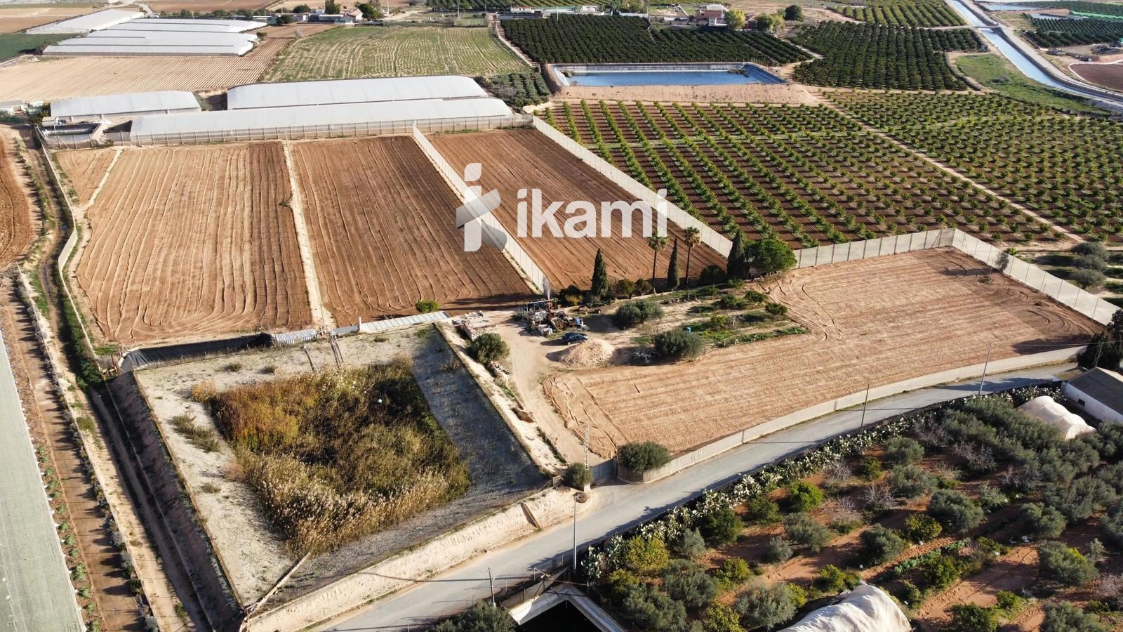 Land for sale in Torre-Pacheco