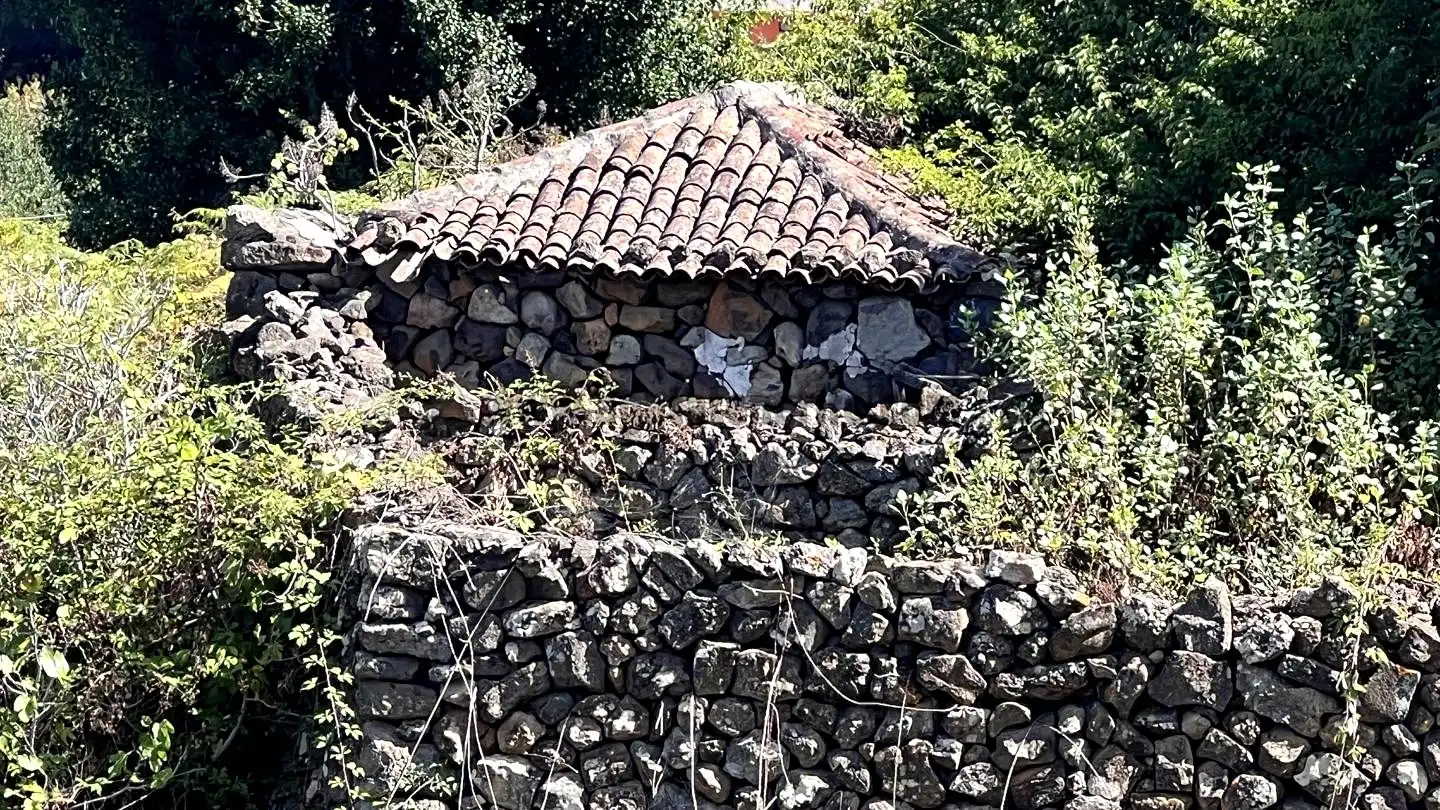 Rural land for sale in La Vega - El Amparo - Cueva del Viento, imagen 2