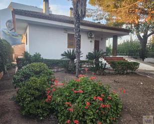 Jardí de Casa o xalet en venda en Alberic amb Traster i Piscina