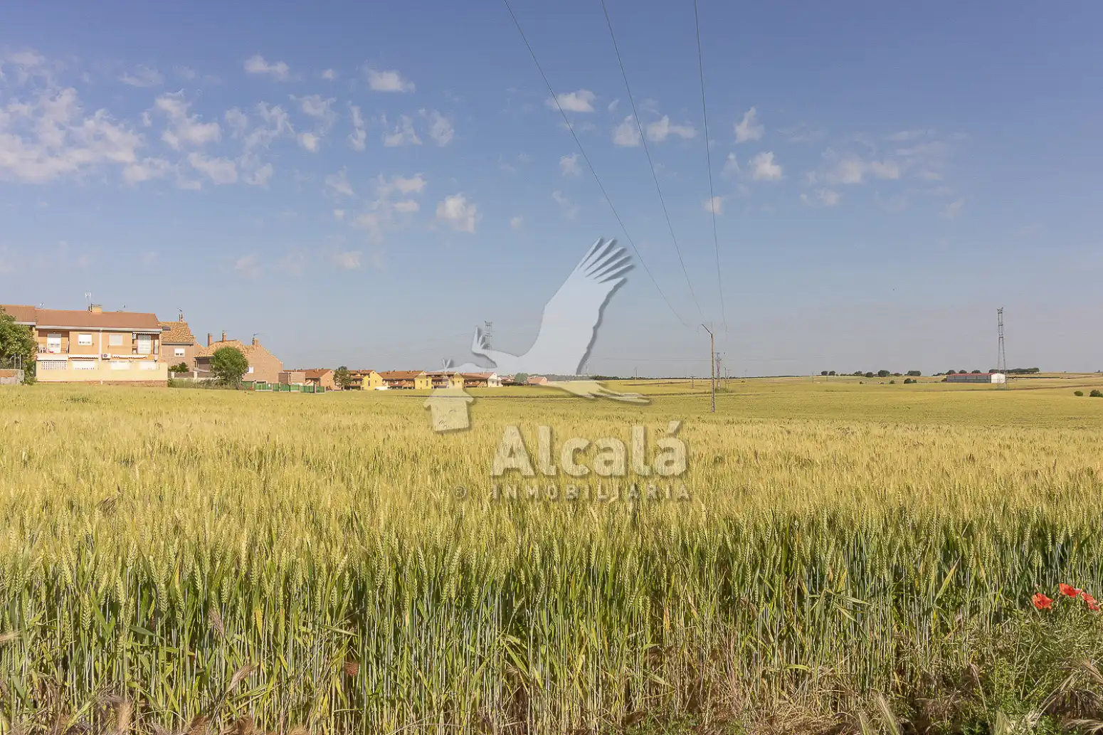 Terreno residencial en venta en Pioz, imagen 49