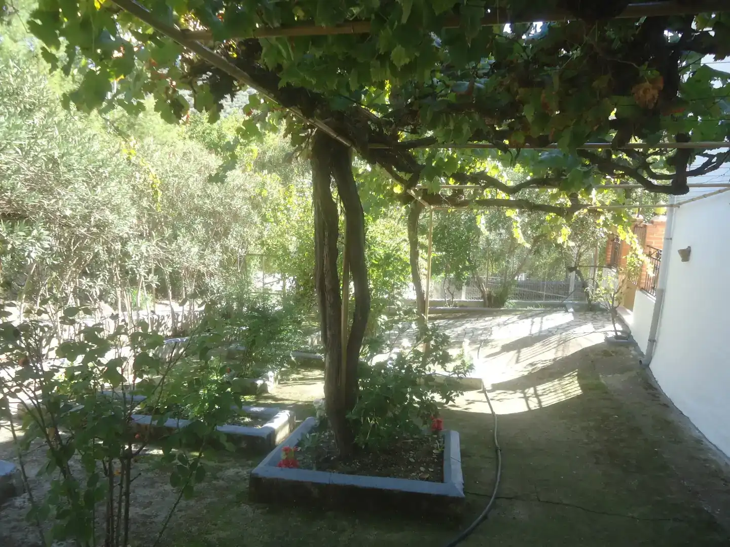 Jardí de Casa o xalet en venda en Iznájar amb Balcó