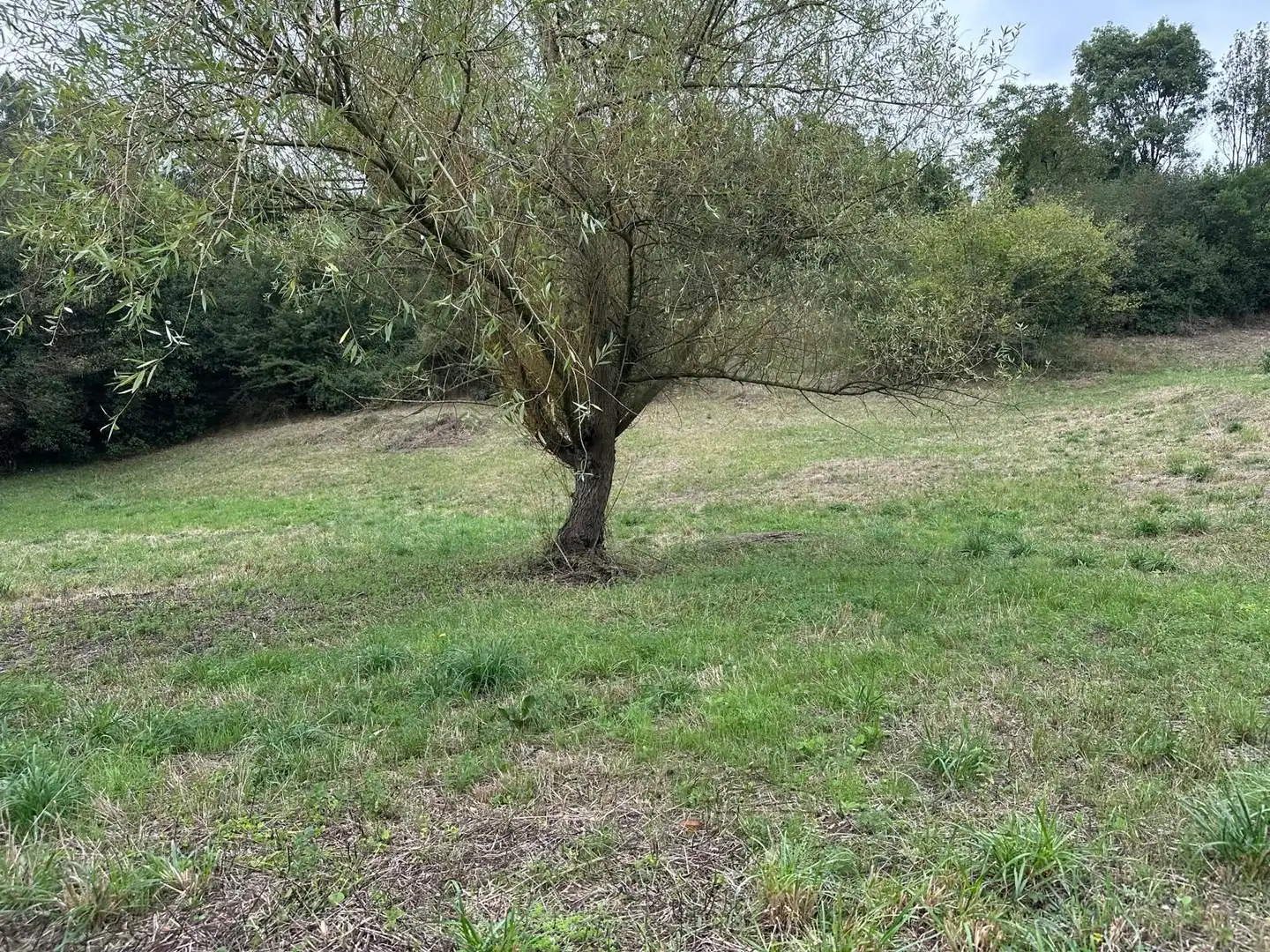 Terreno residencial en venta en Lugar AREÑES, imagen 14