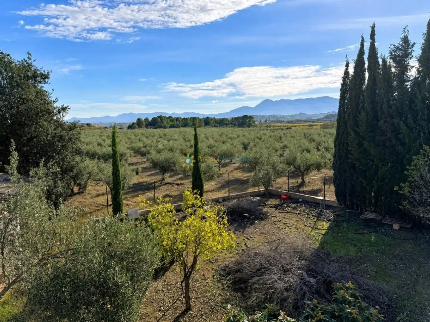 Finca rústica en venda en El Palomar amb Jardí privat, Terrassa i Traster