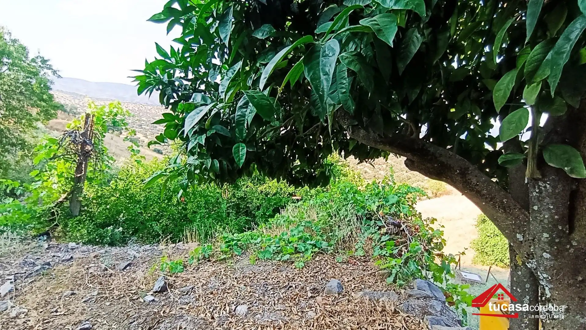Casa o xalet en venda a Obejo