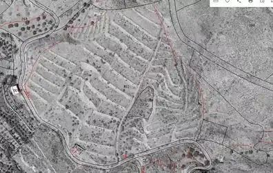 Land for sale in Nacimiento