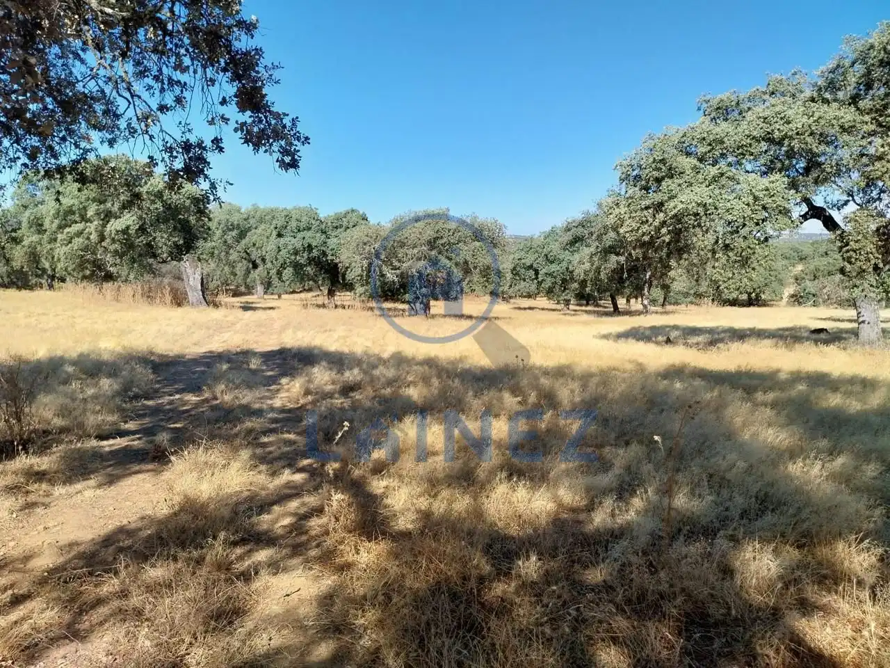 Lands and plots for sale in Fuente Obejuna, imagen 24