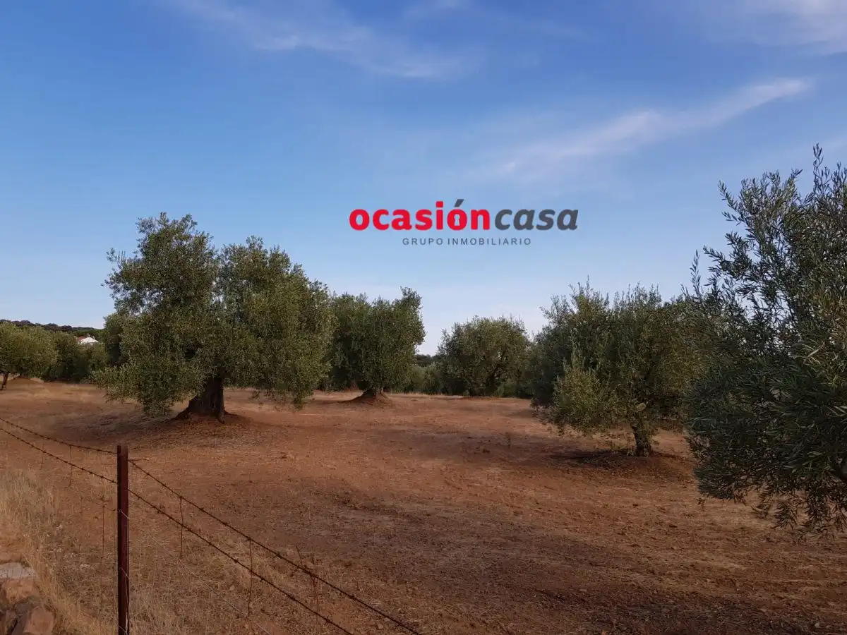 Finca rústica en venta en Espiel con Piscina y Amueblado