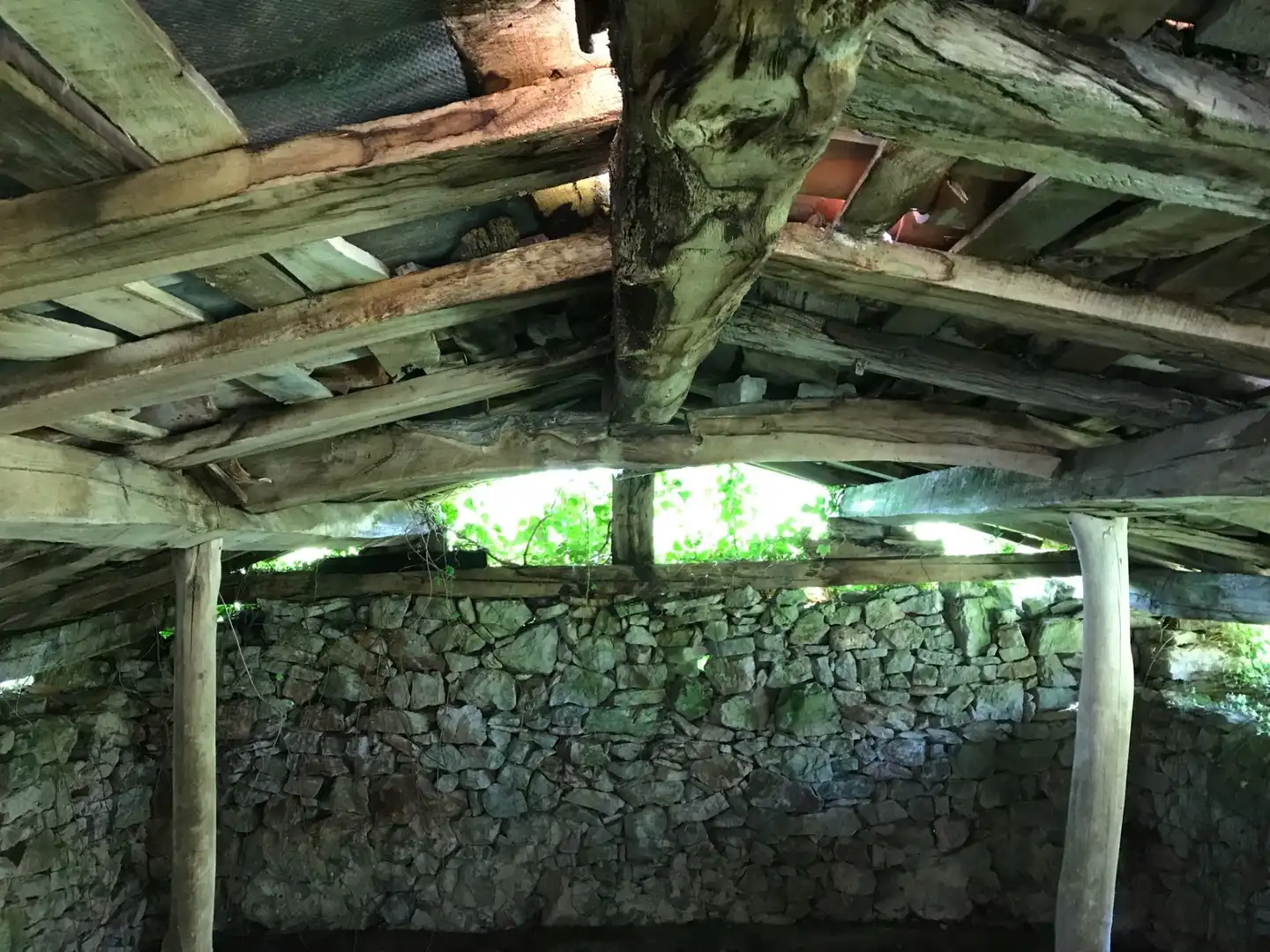 Terreno rustico in vendita a Cangas de Onís, imagen 9