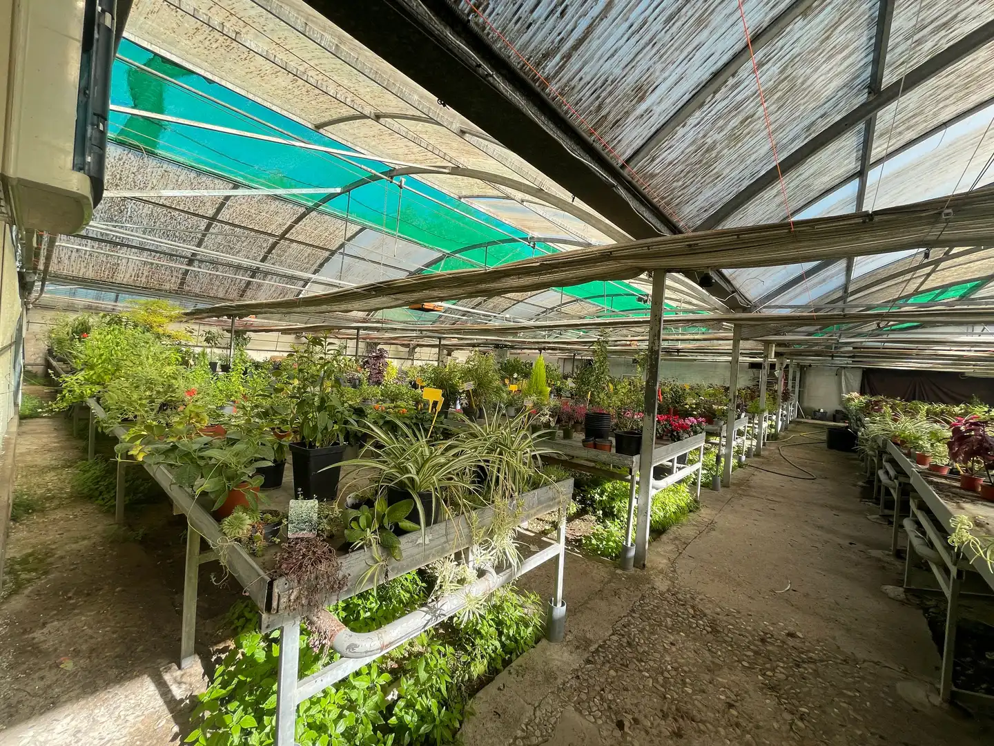 Terreno industrial en venta en Avenida de Madrid, Reyes Católicos