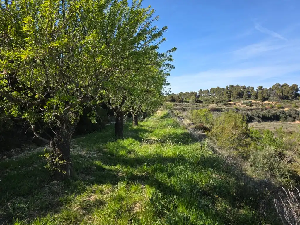 Terreno rustico in vendita a Caseres