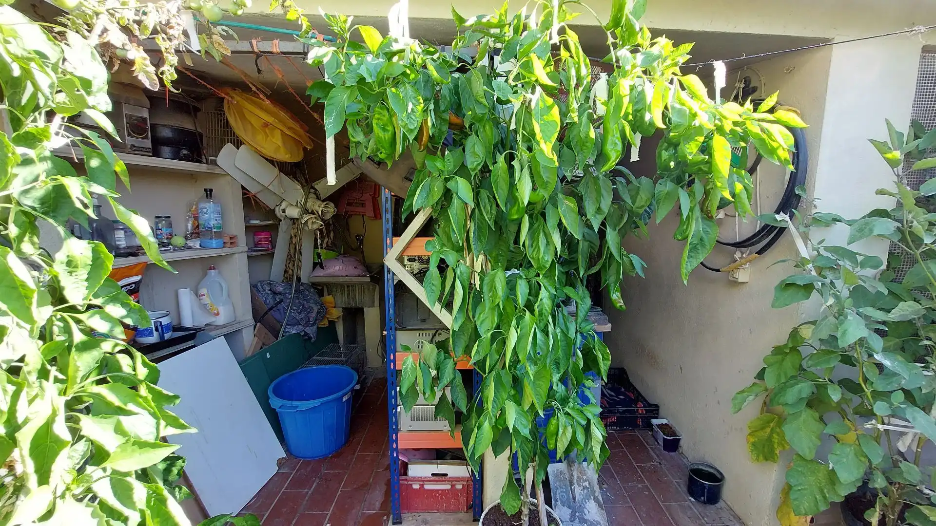 Jardín de Casa o chalet en venta en L'Estartit con Calefacción y Terraza