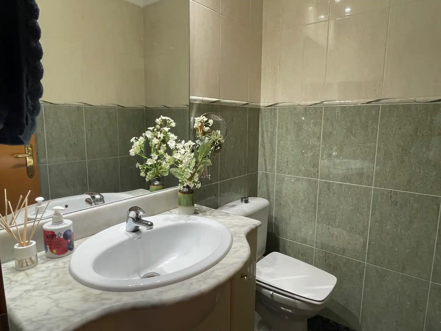 Bathroom of Detached homes for sale in Olot, Girona