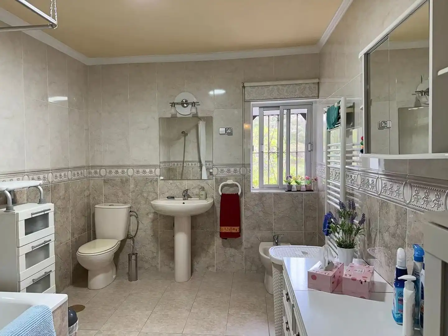 Casa rústica amb jardí en venda a Vía Diseminados, imagen 34