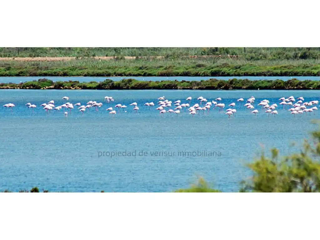Wohnungen zur Miete in Las Salinas