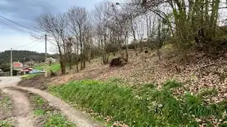 Residential land for sale in Pillarno, imagen 3